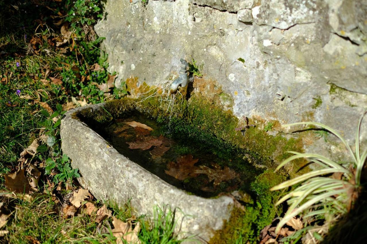 Villa Il Sorriso Bivigliano Zewnętrze zdjęcie